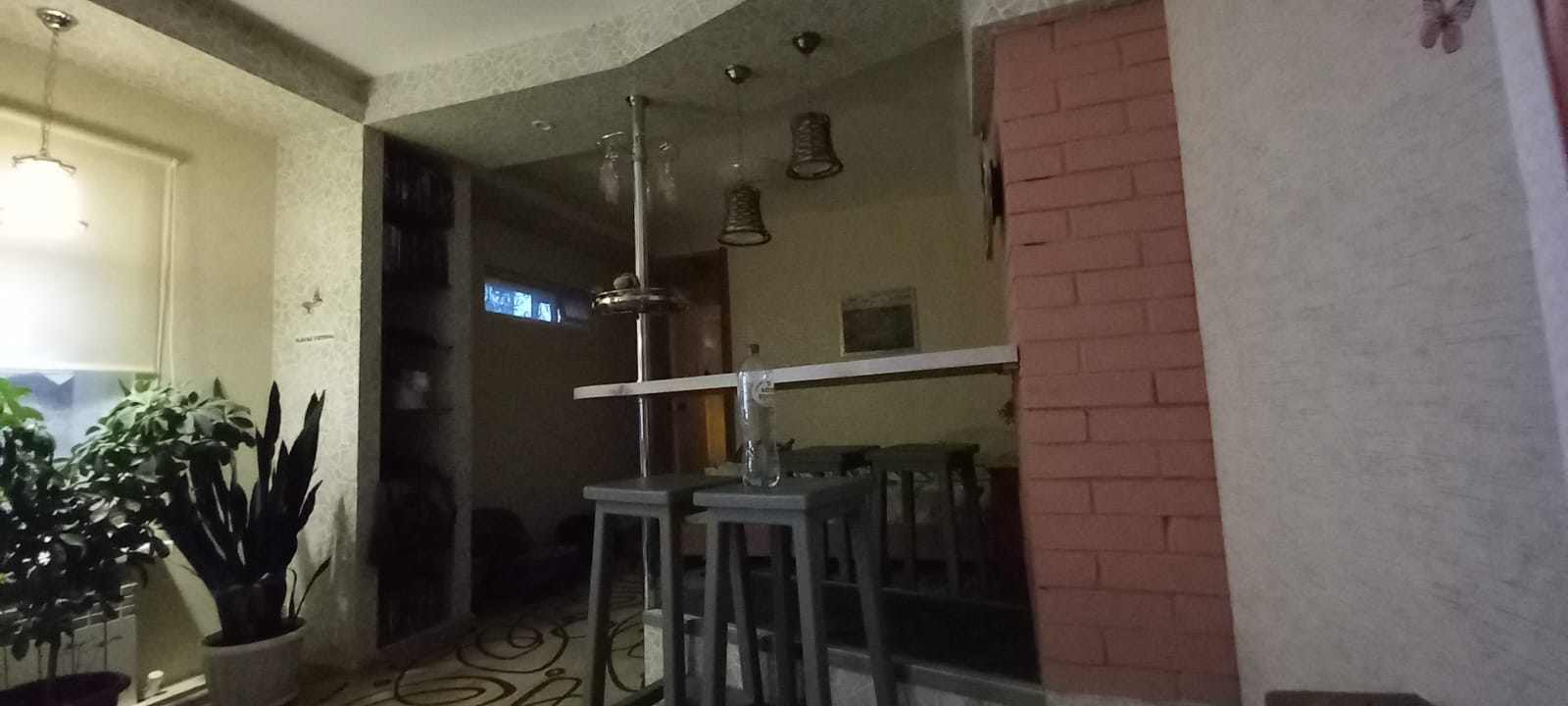 Фото Сенполия