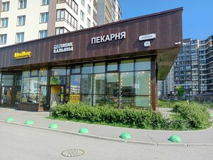 S2B (просп. Ветеранов, 169, корп. 1), магазин табака и курительных принадлежностей в Санкт‑Петербурге