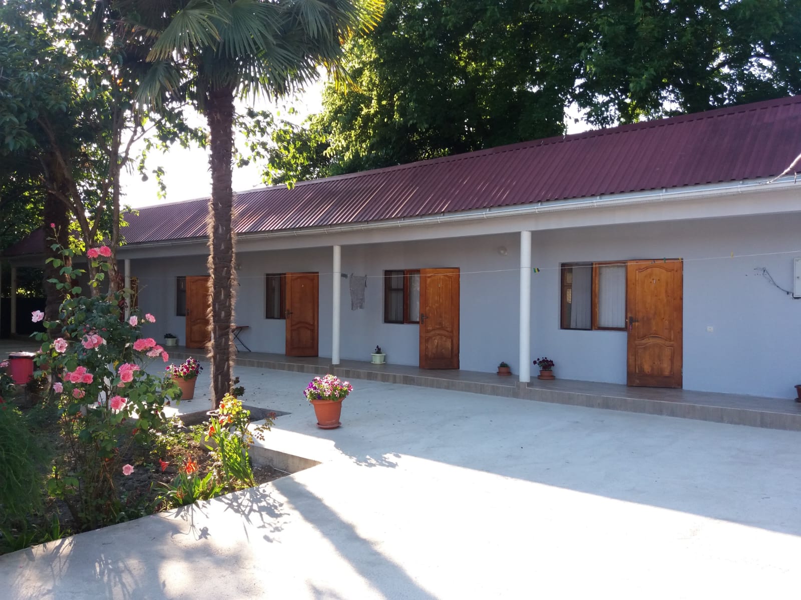 Пицунда Lilly Guest House