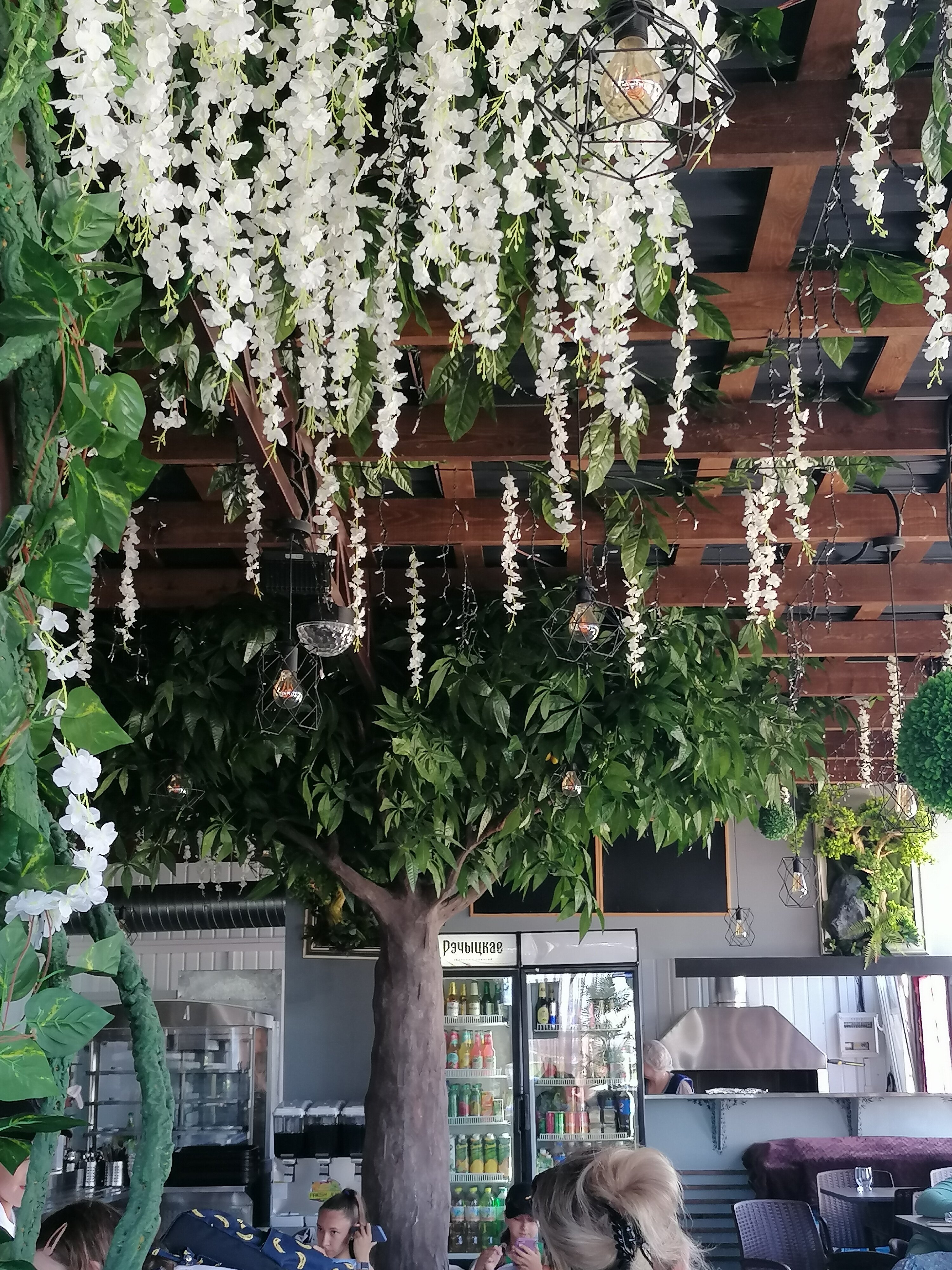 Фото Дионида