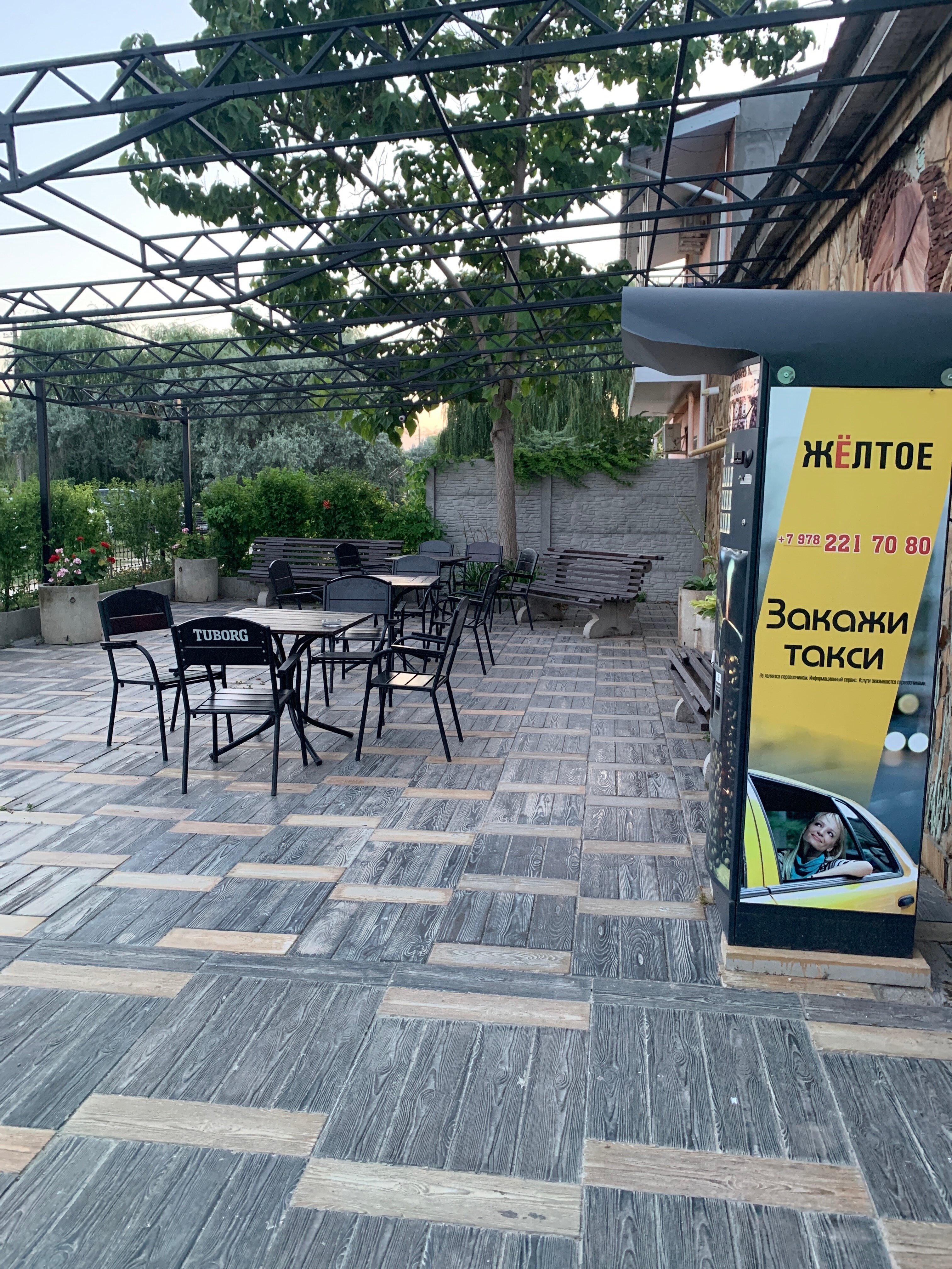 Фото Золотая рыбка