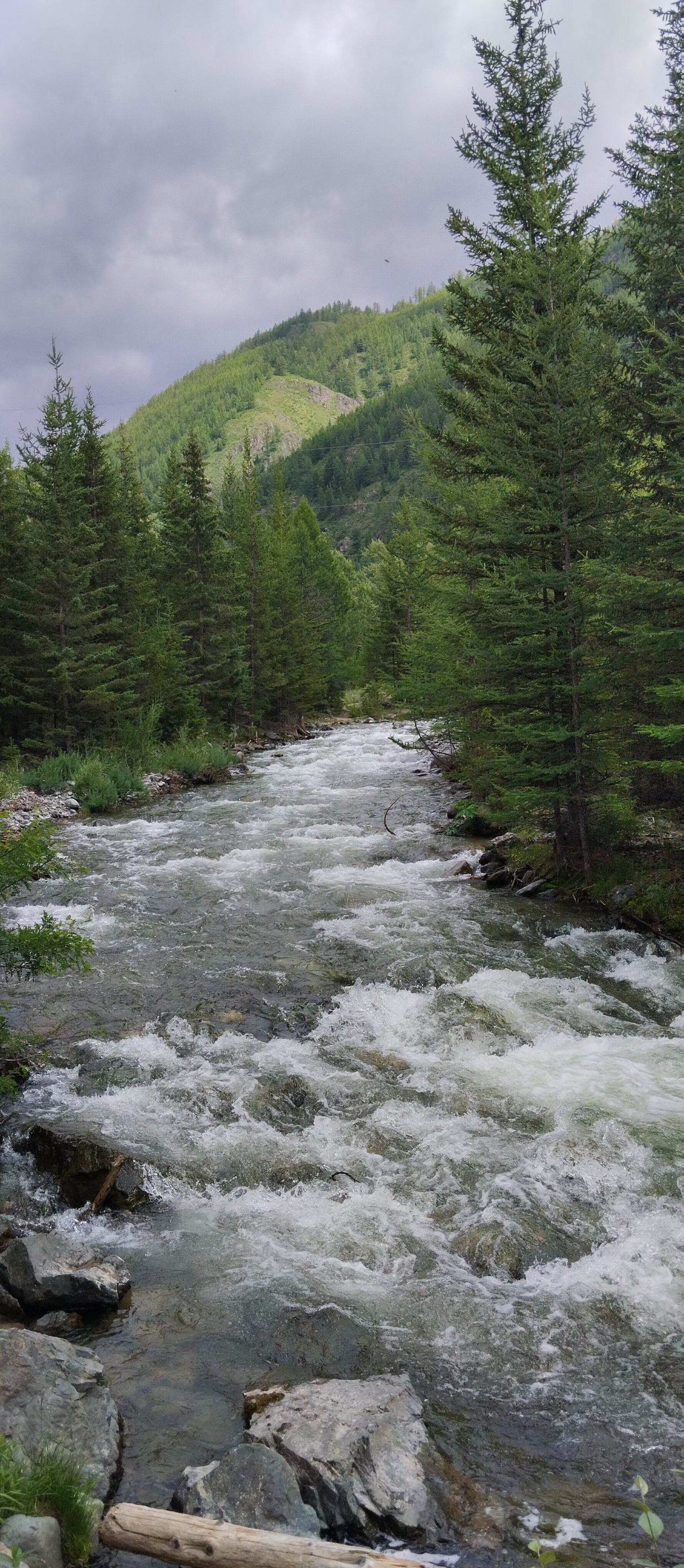 Фото Белый Шум