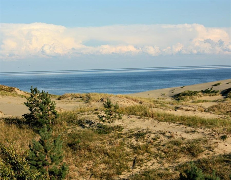 Фото Вальде Парк