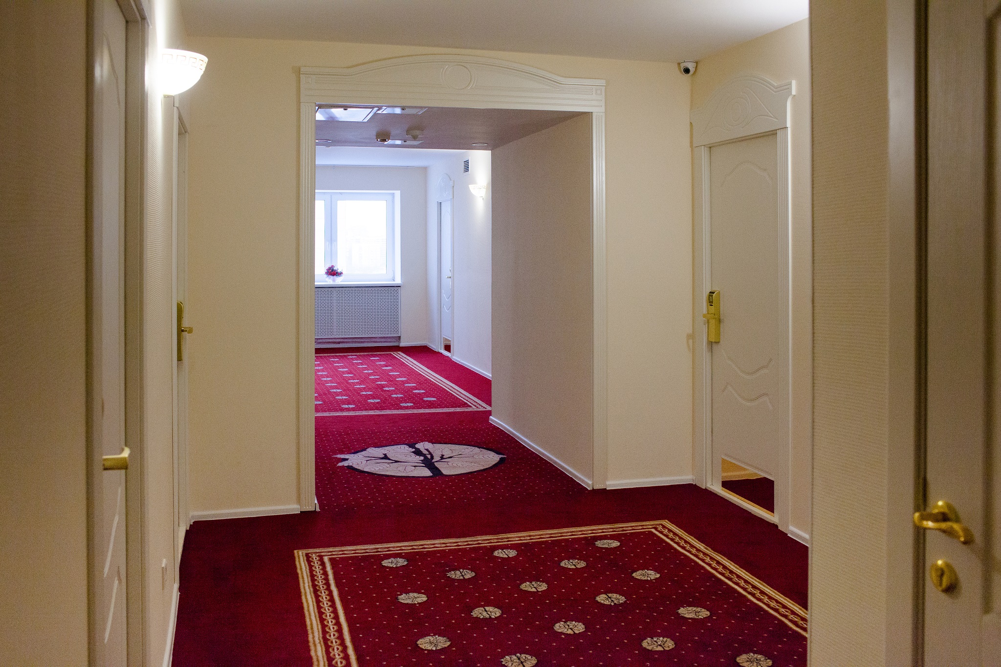 Фото Белое Дерево