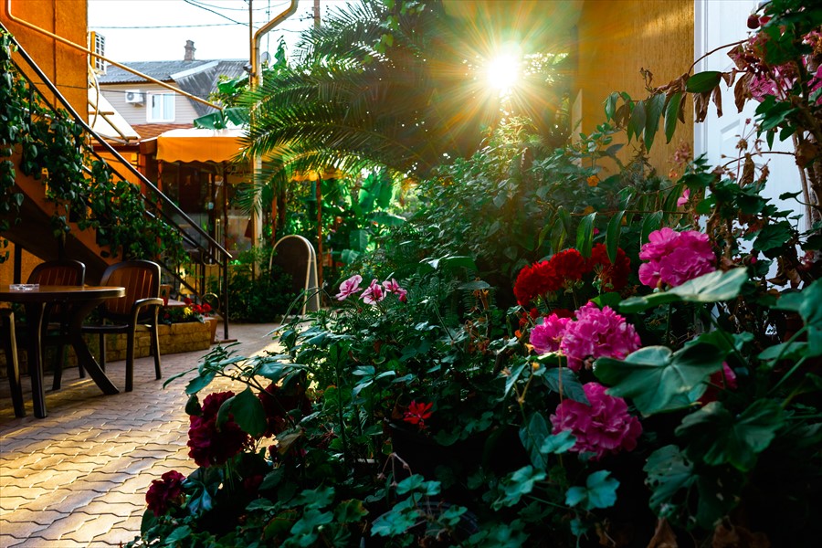 Фото Вилла Дежа Вю