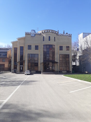 Сенгилей фото 1