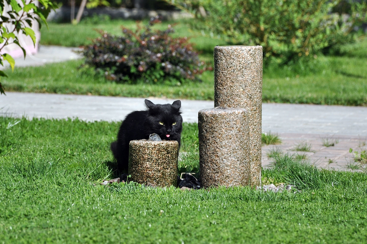 Фото Бенефит Плаза