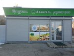 Авангард (derevnya Khirino, 2Б), tienda de productos