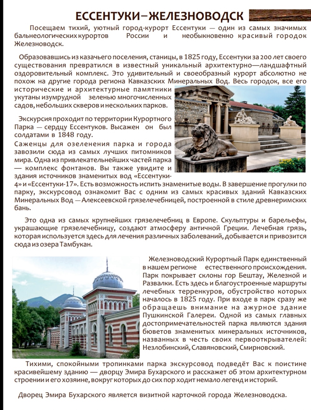 Фото Викинг