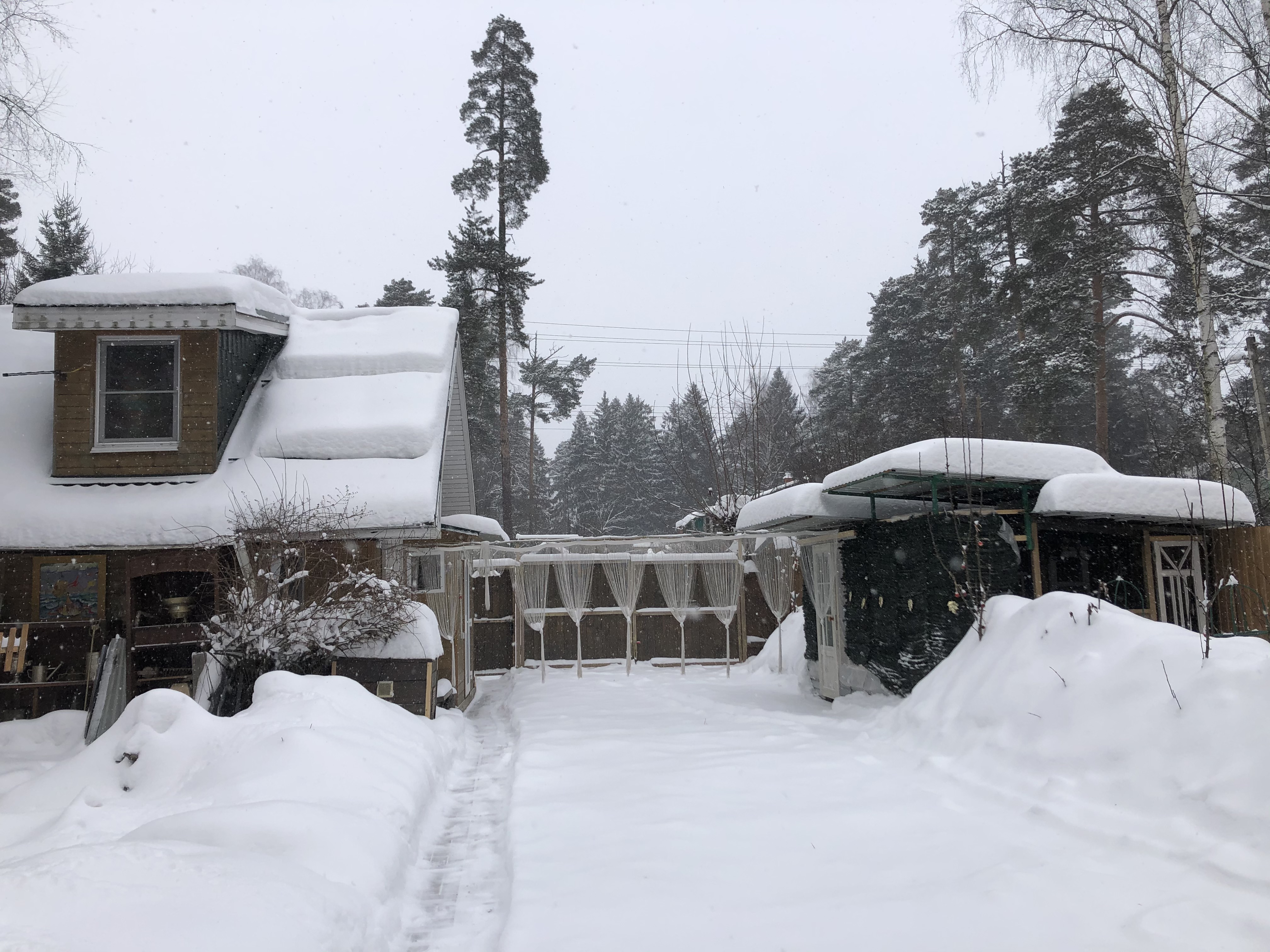 Фото Теремок