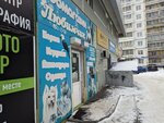 Любимчик (ulitsa Muravyova, 17), pet shop