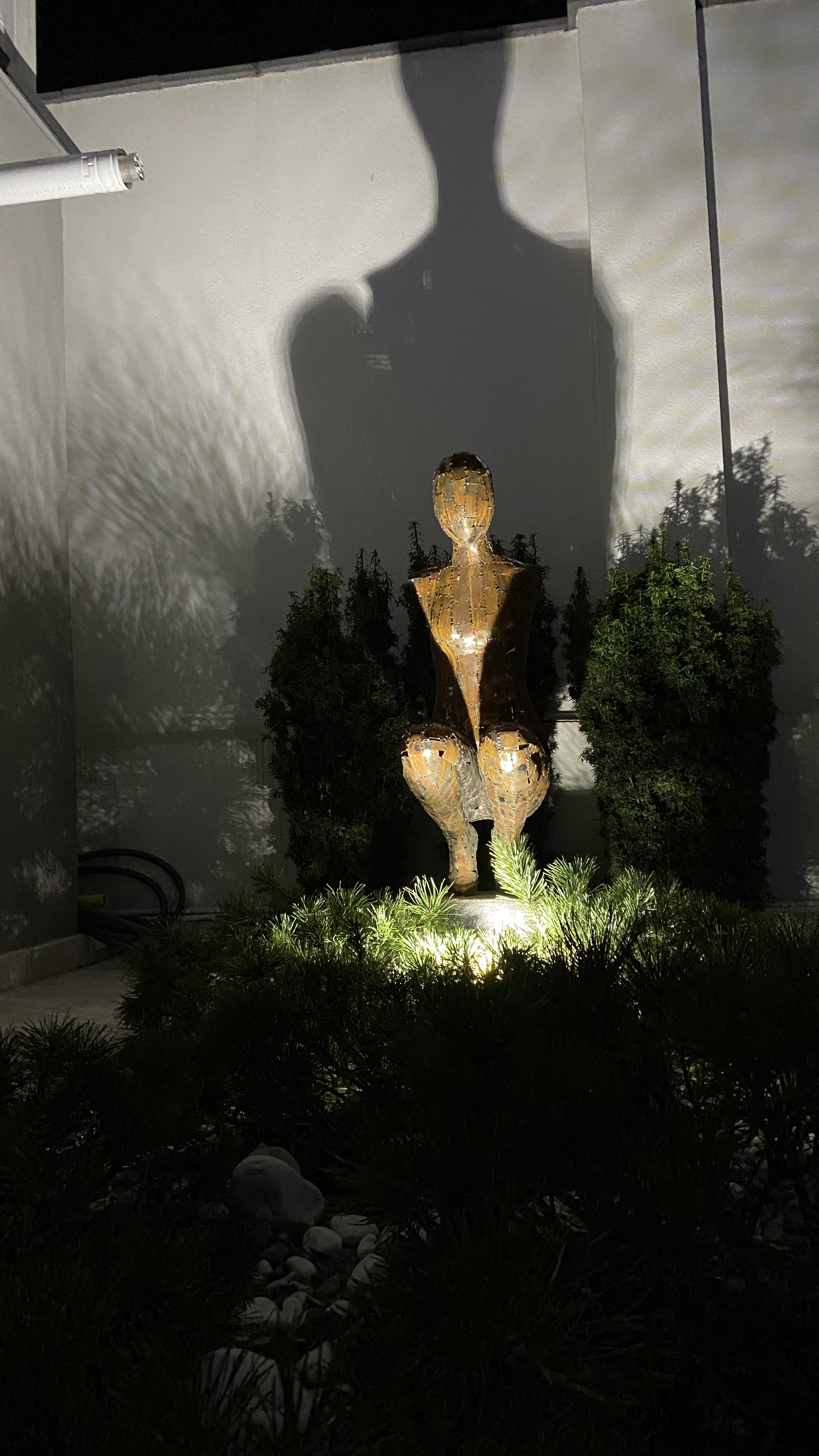 Фото Белая Терраса