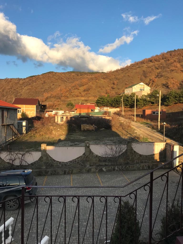 Фото Оливия