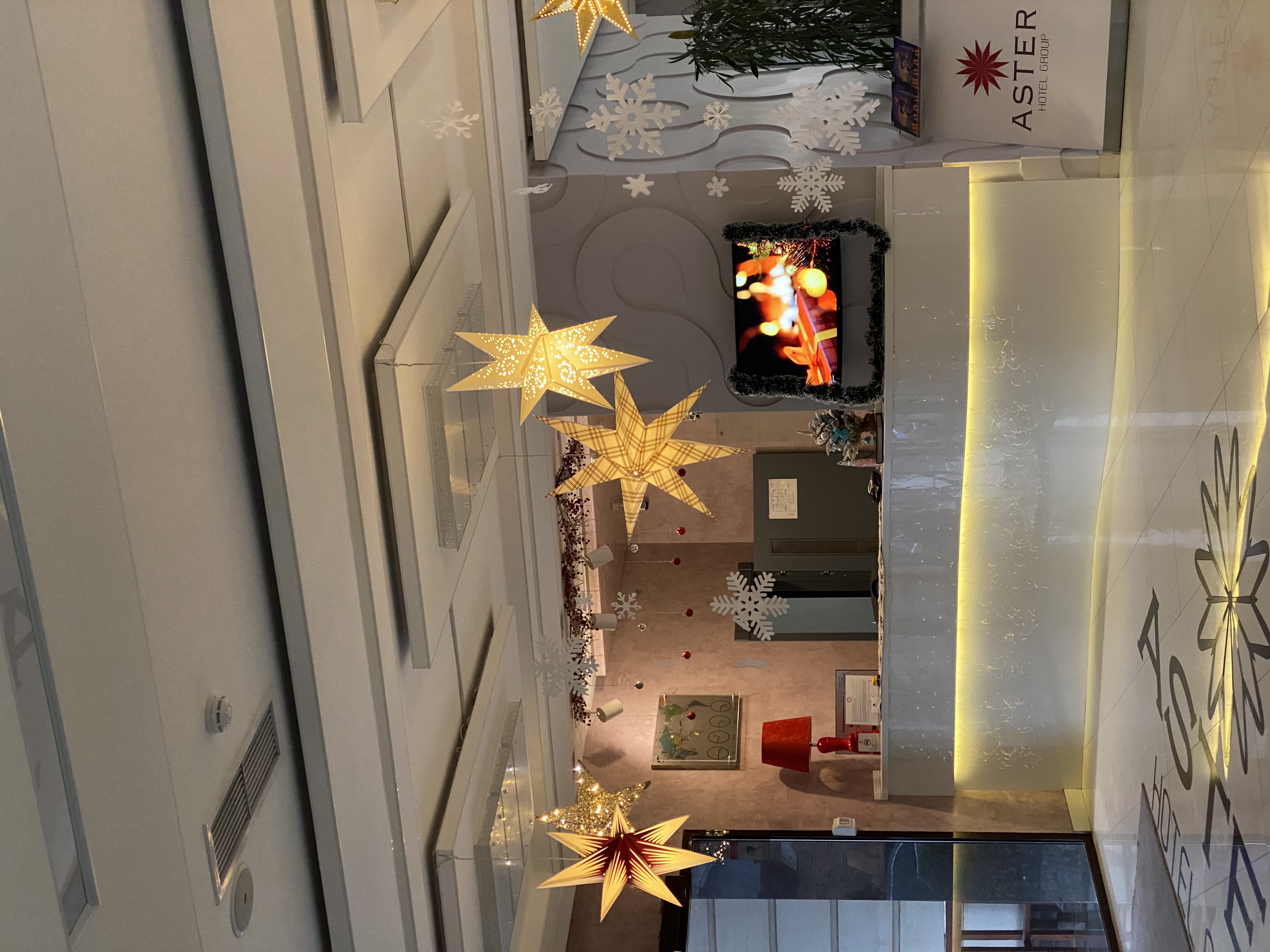 Фото Aster Hotel Group