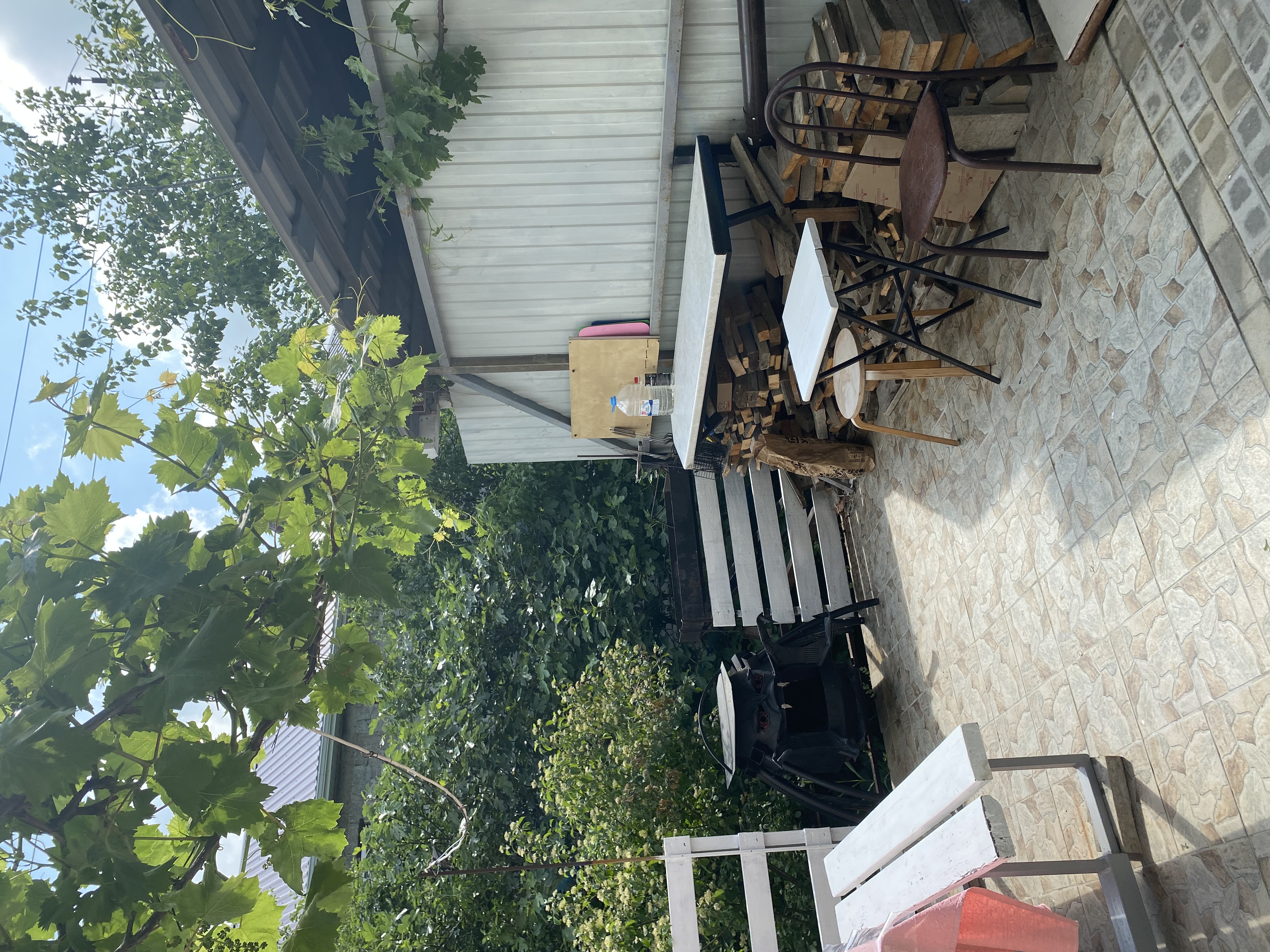 Фото Родничок