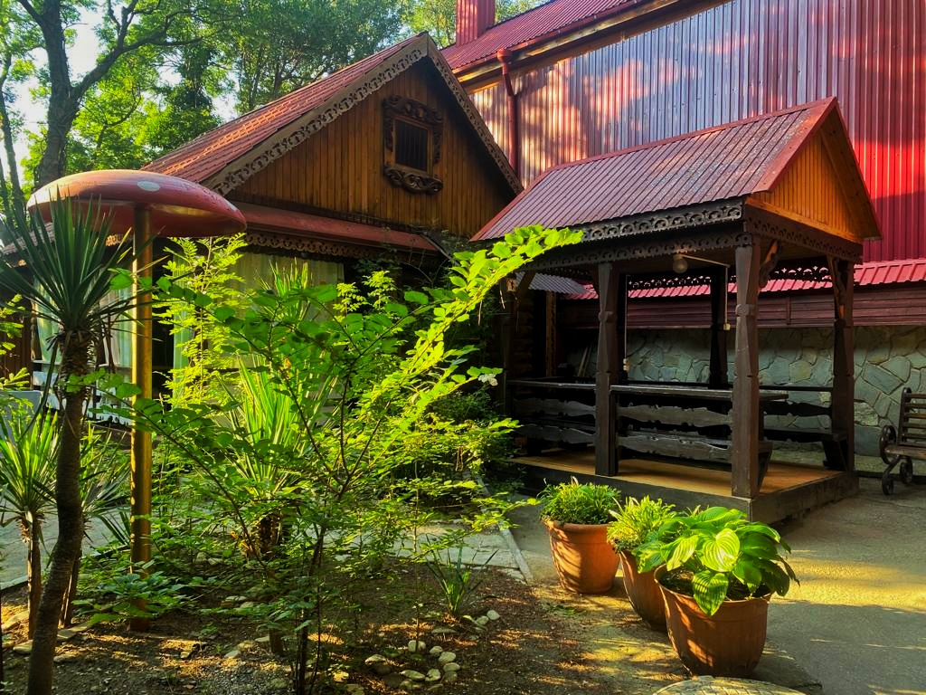 Фото Сосновый бор