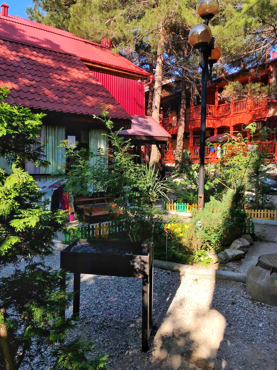 Фото Сосновый бор