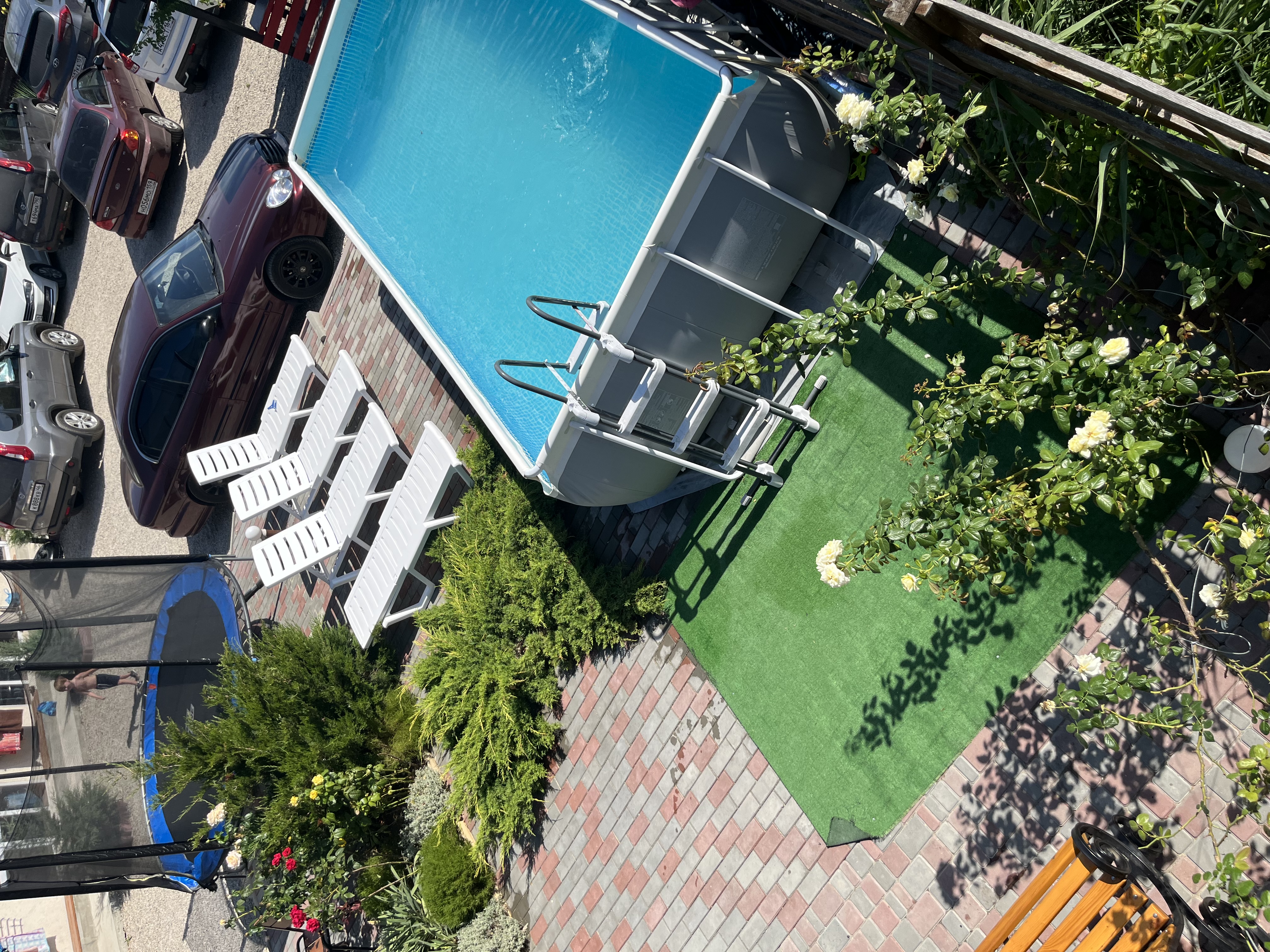 Фото Хороший гость