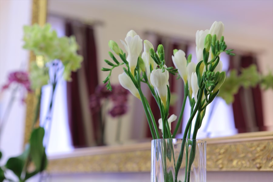 Фото Золотой Треугольник