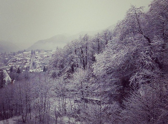 Фото Апартаменты Оплот