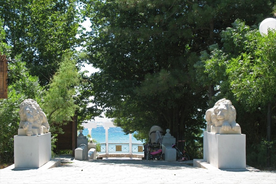 Фото Солнечная долина