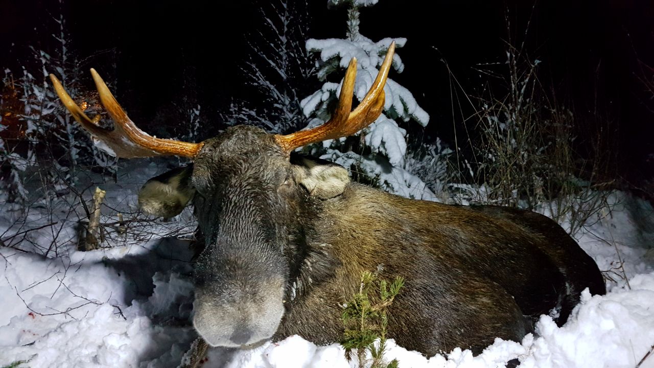 Фото Hunter Paradise