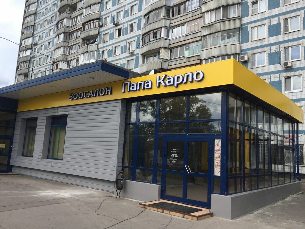 Папа карло ул бориса ельцина 3 фото