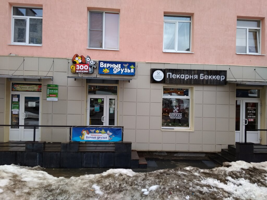 Невский 56 карта