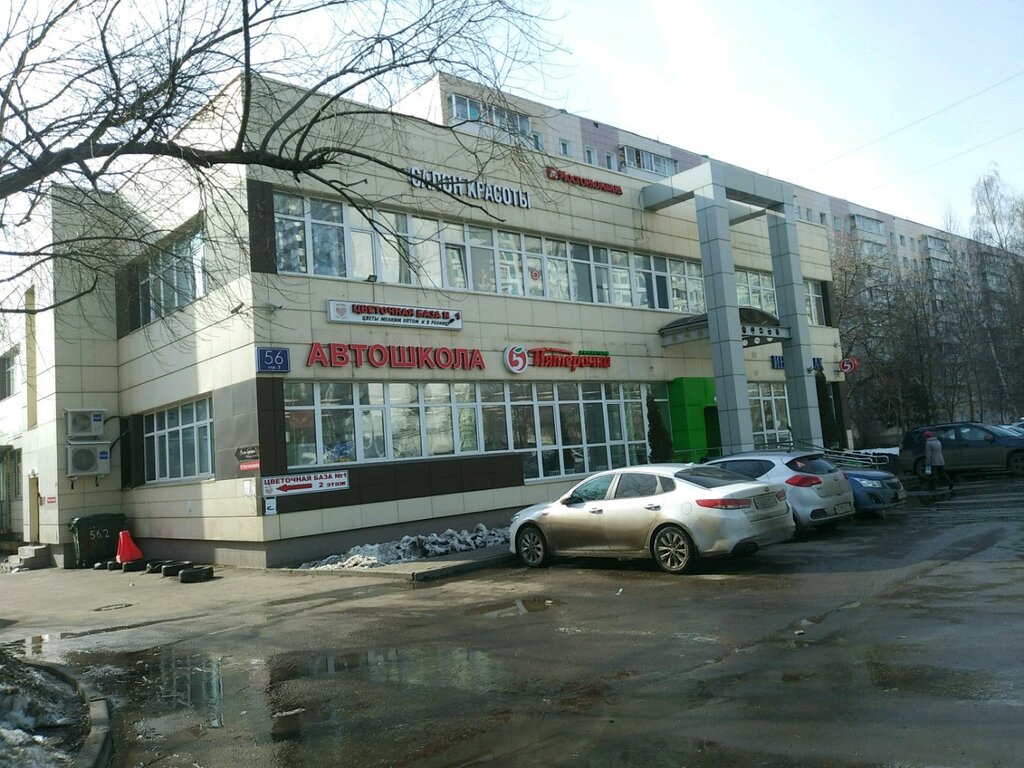 Insurance company Ingosstrakh, Moscow, photo