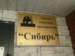 Sibir + (Khrustalnaya Street, 5), security company
