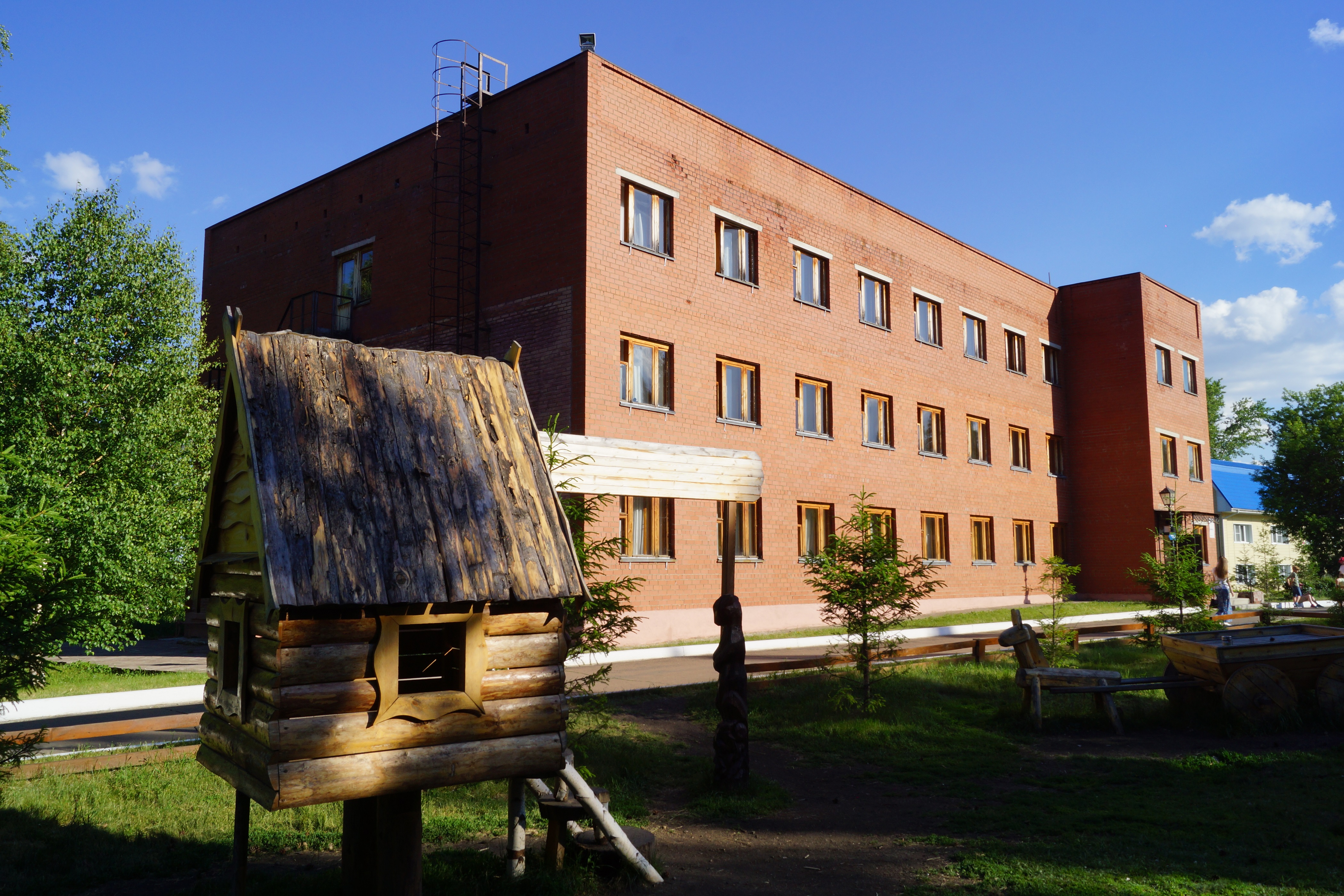 Фото Берёзки