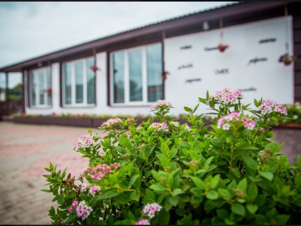 Фото Сова Сойкино