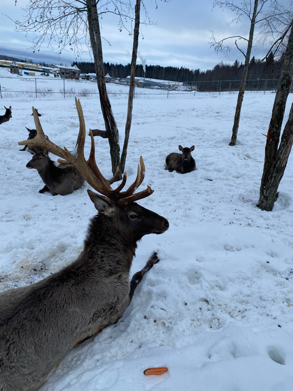 Фото Хутор Тохмайоки