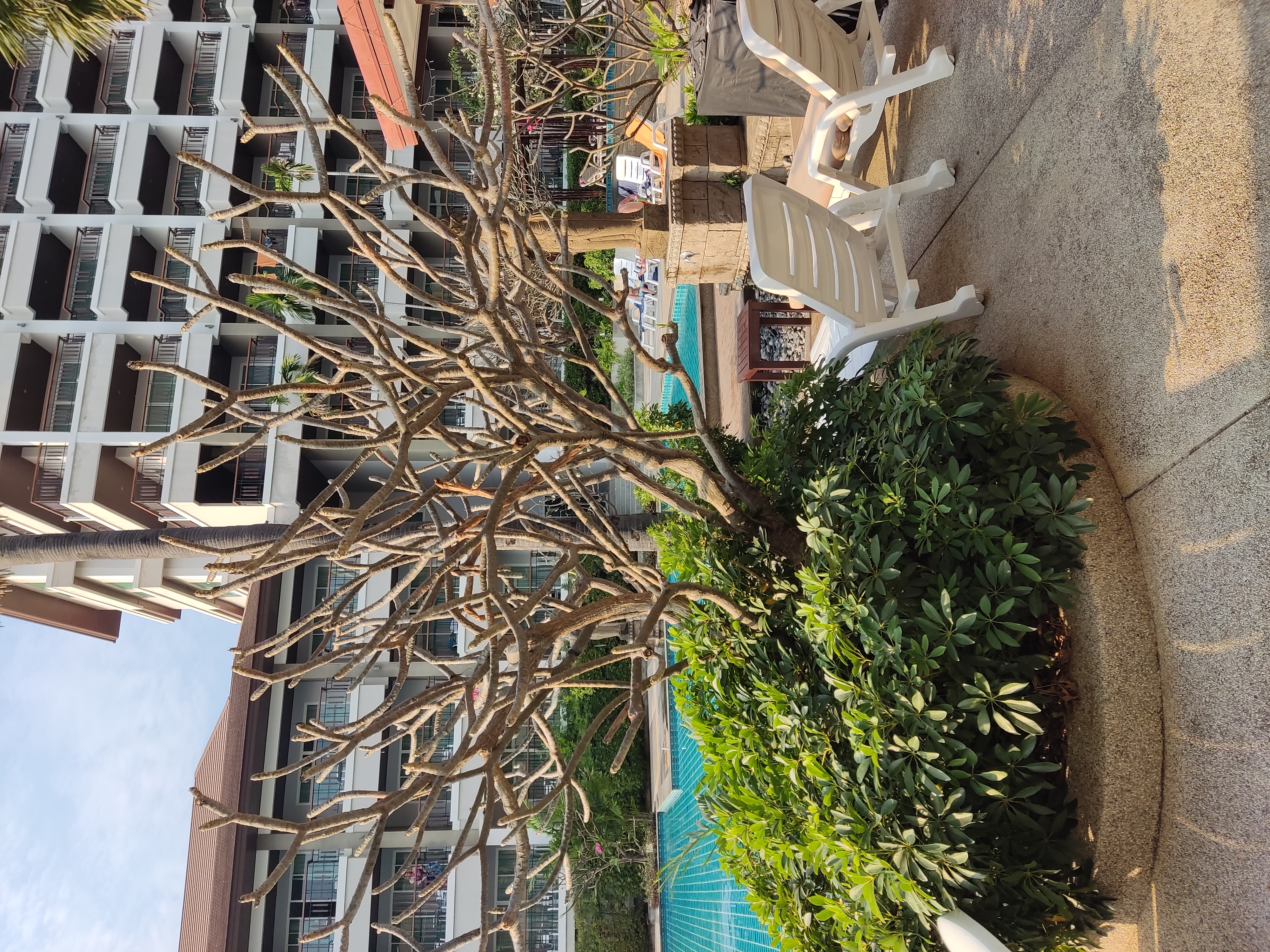 Фото Welcome World Beachfront Resort