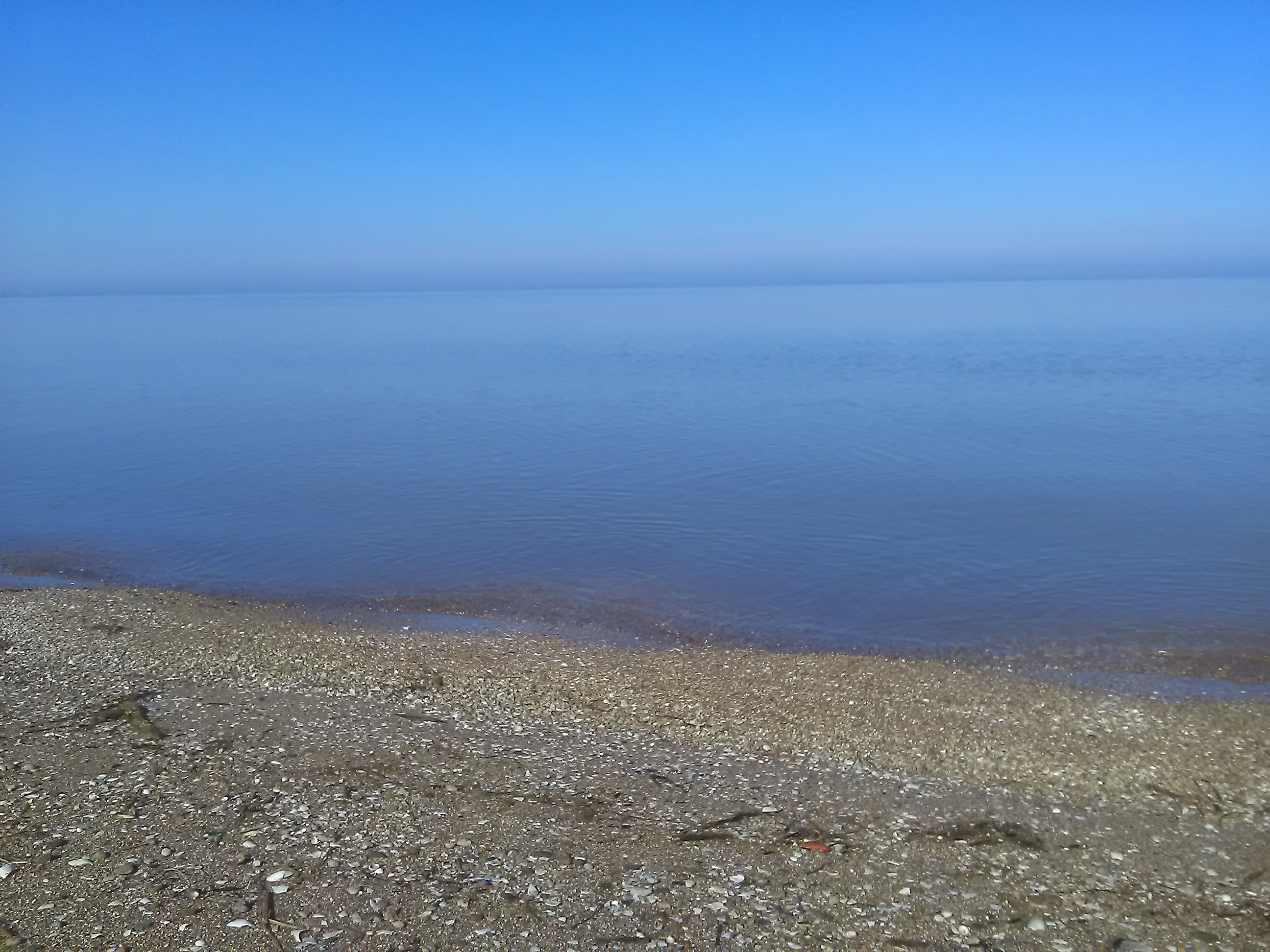 Фото Ясенская коса