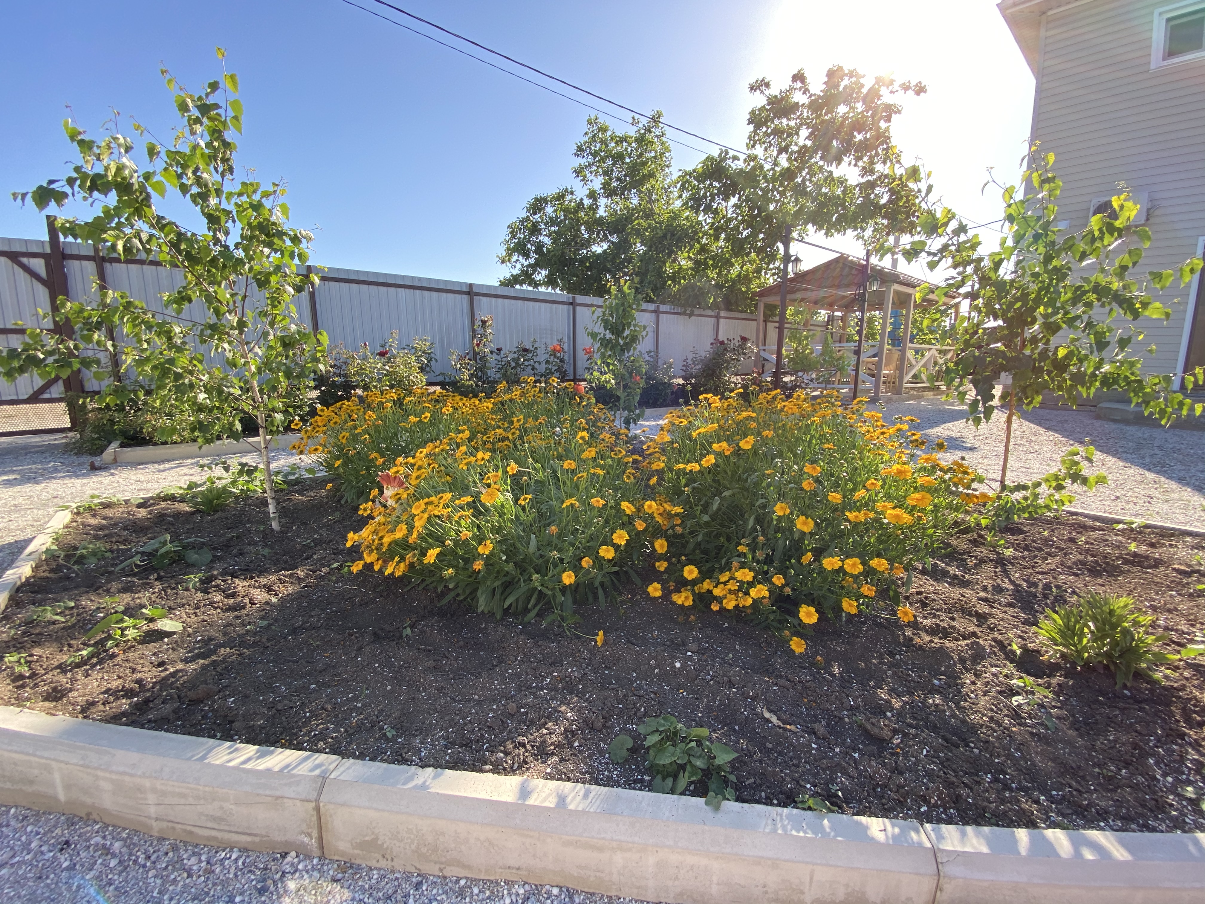 Фото 38 Попугаев