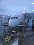 Infiniteflight (Verkhnyaya Radischevskaya Street, 4с3), business tourism
