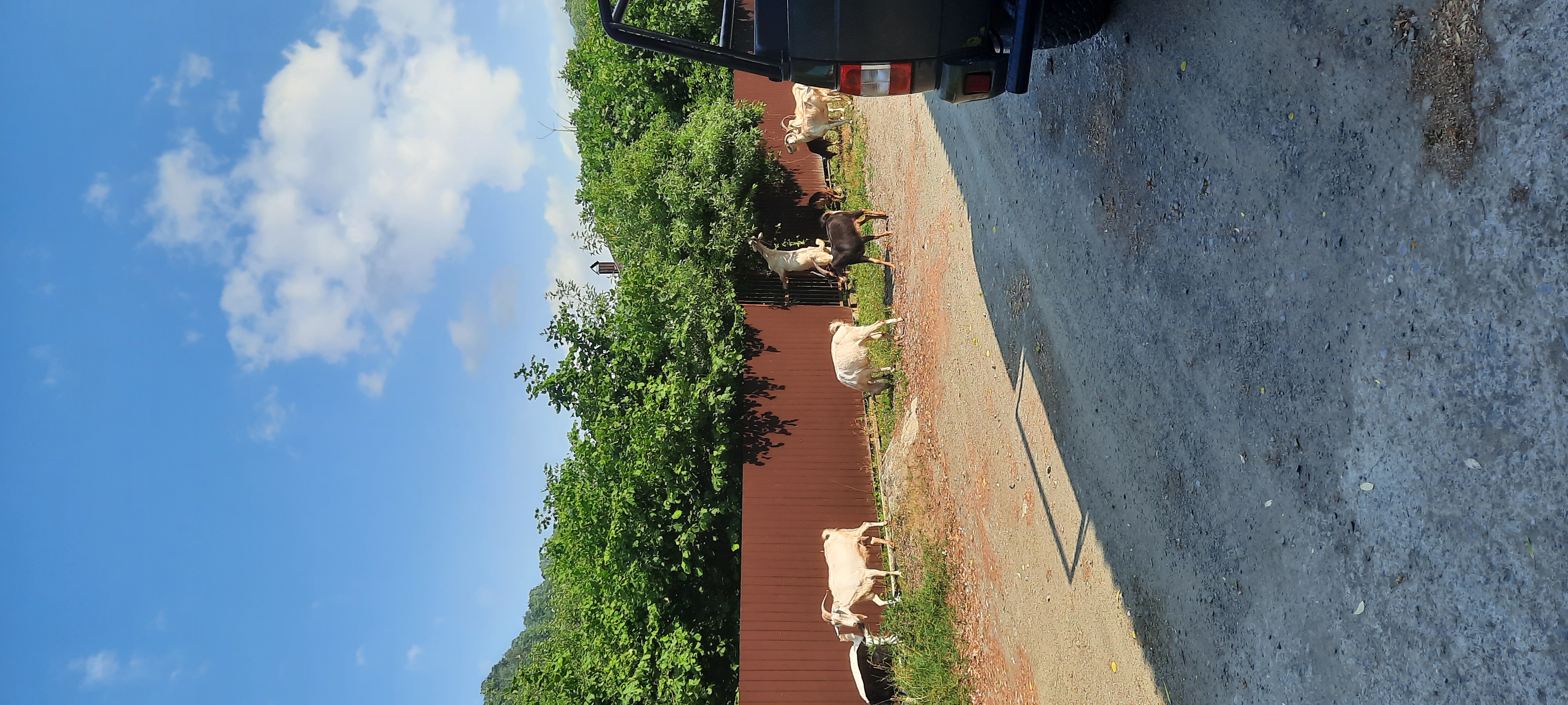 Фото Приют у реки