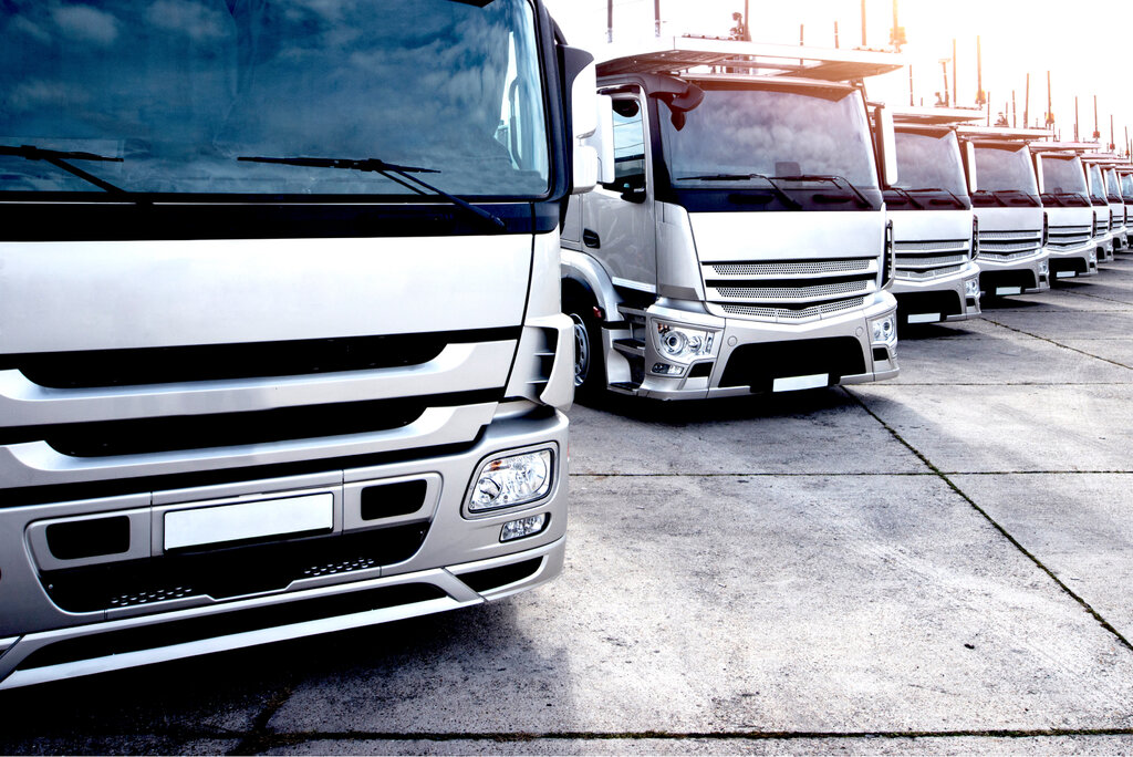 Auto parts and auto goods store Ressora, Staraja Kupavna, photo