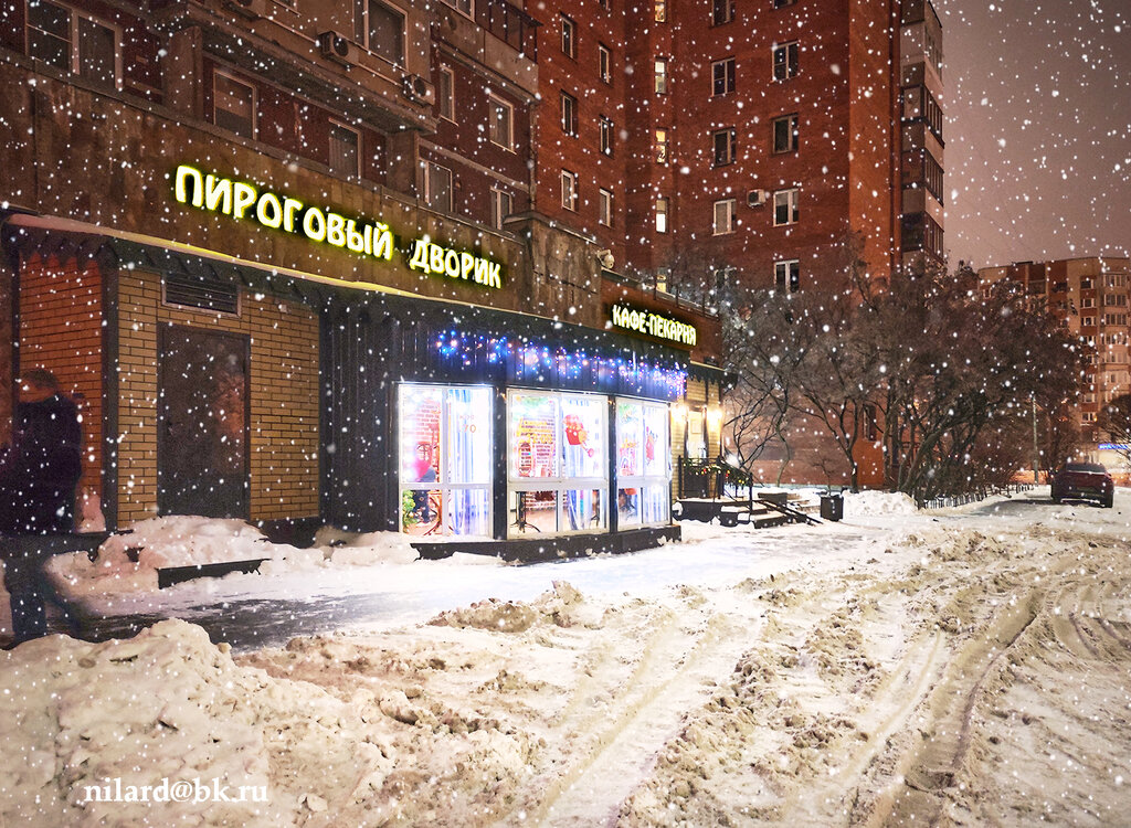 Cafe Pirogovy Dvorik, Saint Petersburg, photo