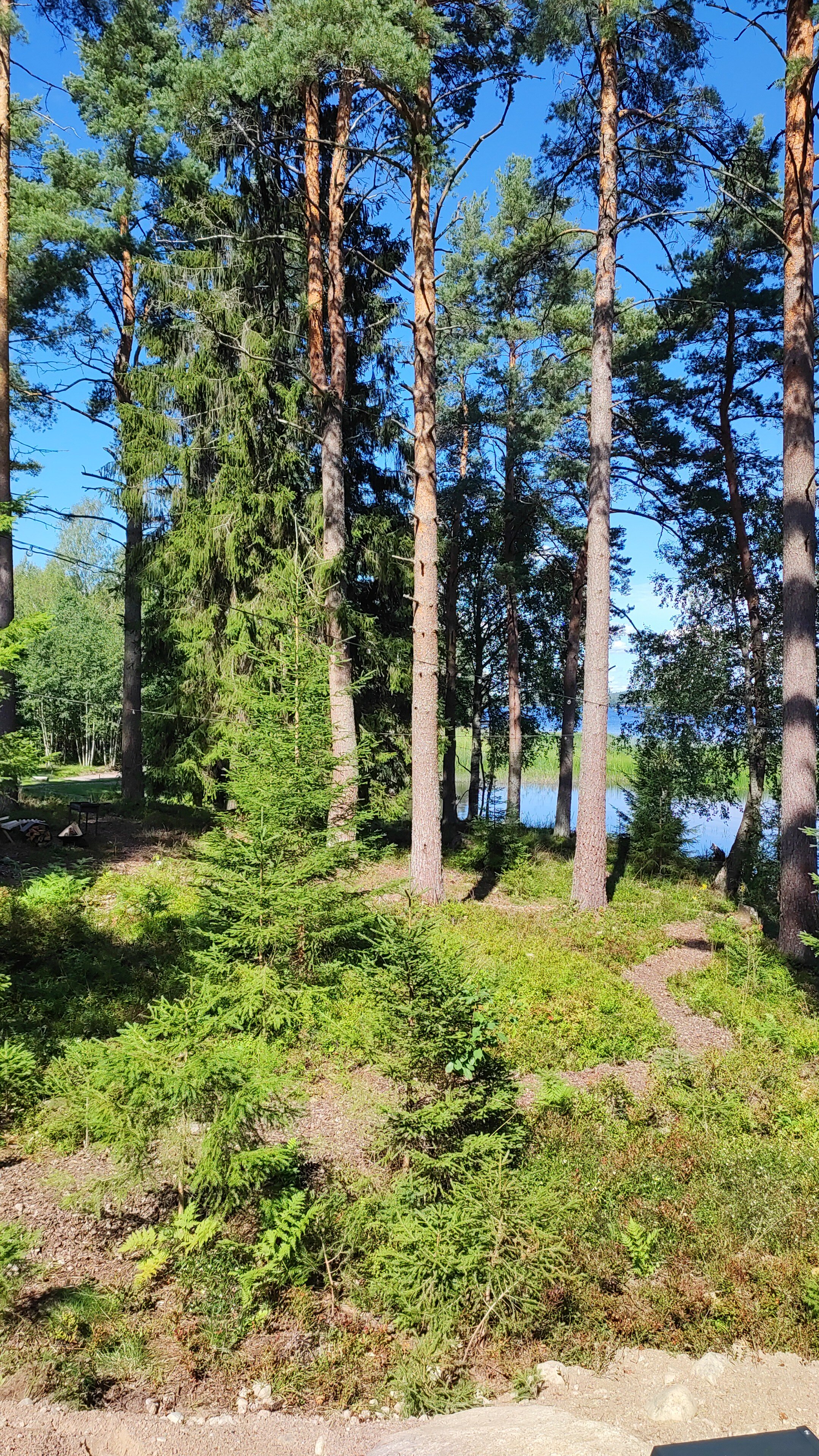 Фото Ключ. Пионерское