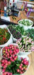 Milana (2-y mikrorayon, 32), flower shop