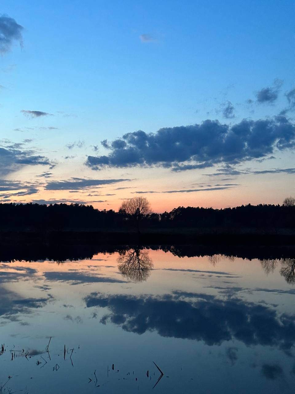 Фото HappyTreeCamp