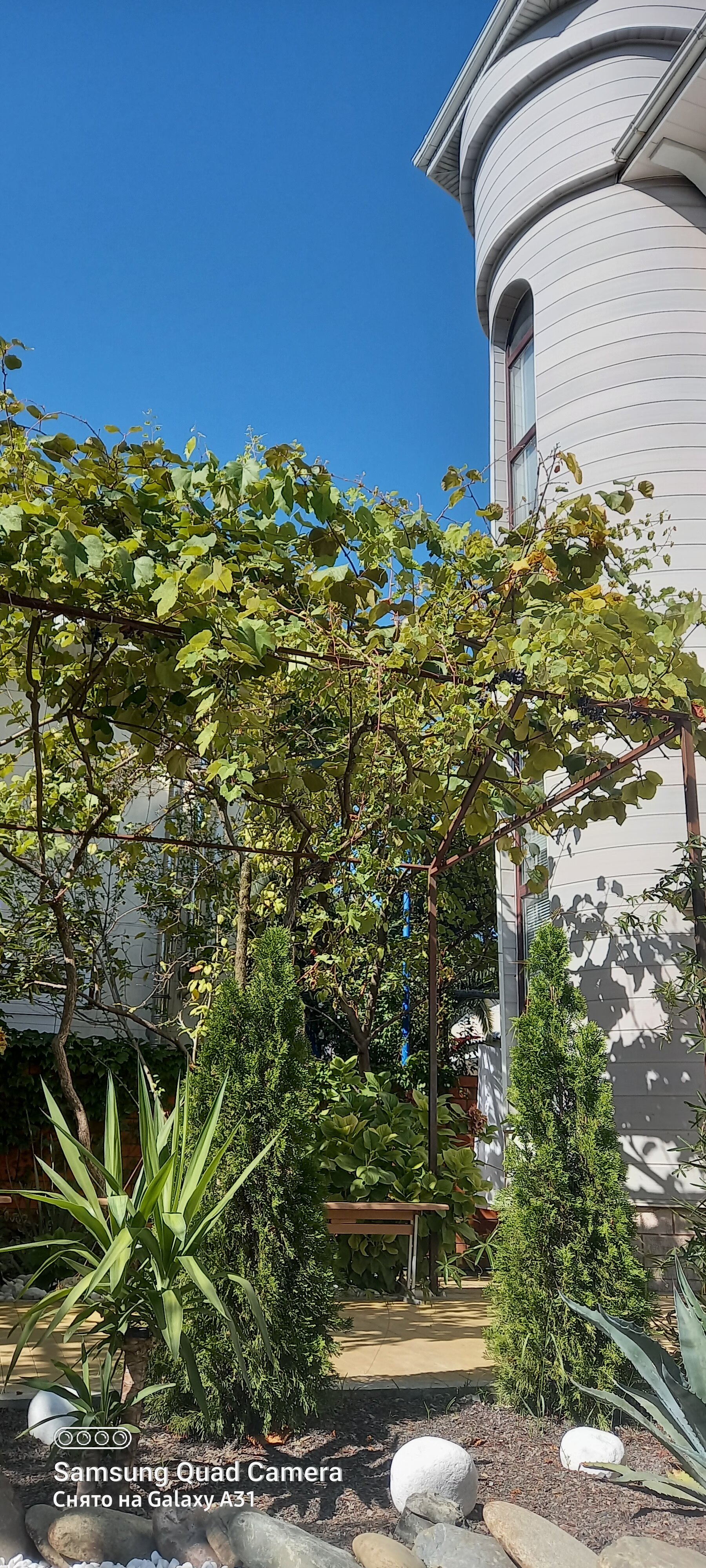 Фото Море Рядом