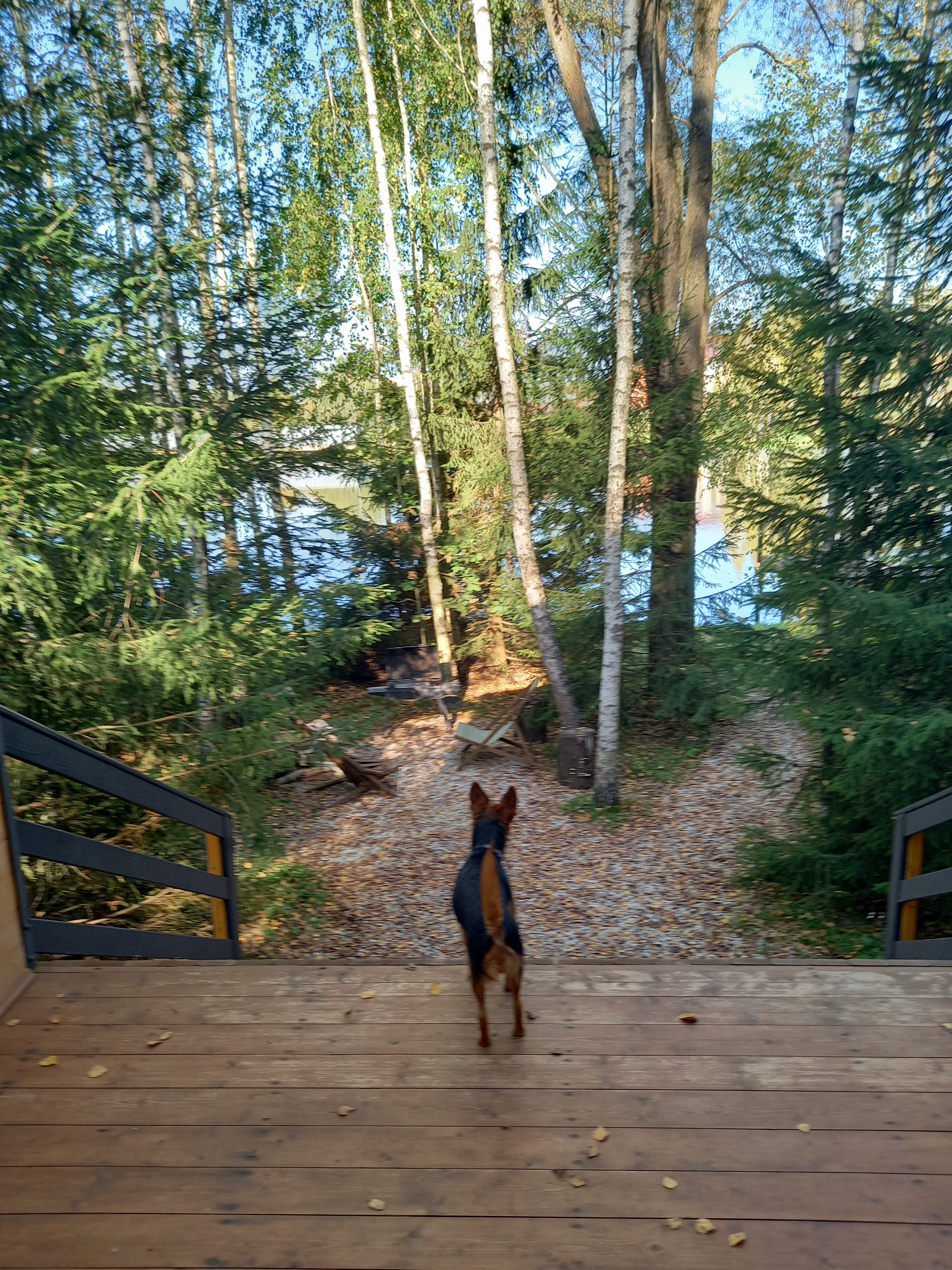 Фото Никольские росы