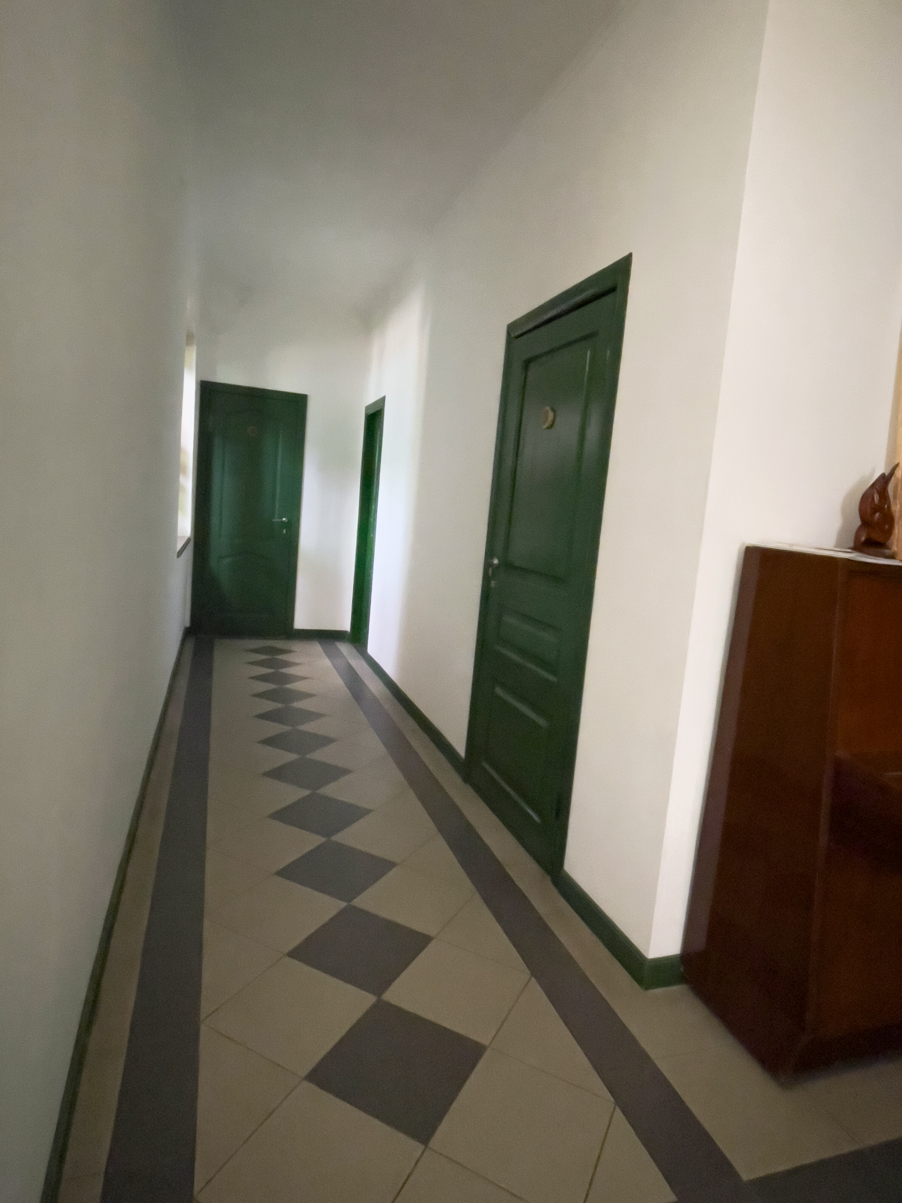 Фото Тополя