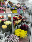 Flowers in Domodedovo (Uzhniy Subdistrict, Kuryzhova Street, 15) ، محل زهور