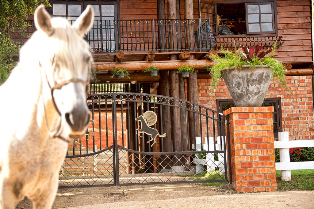 Фото Fazzenda Park Resort