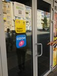 Репетитор по Английскому Языку Пивоварова Е. В. (Pervomayskaya Street, 100), servicios de especialistas privados