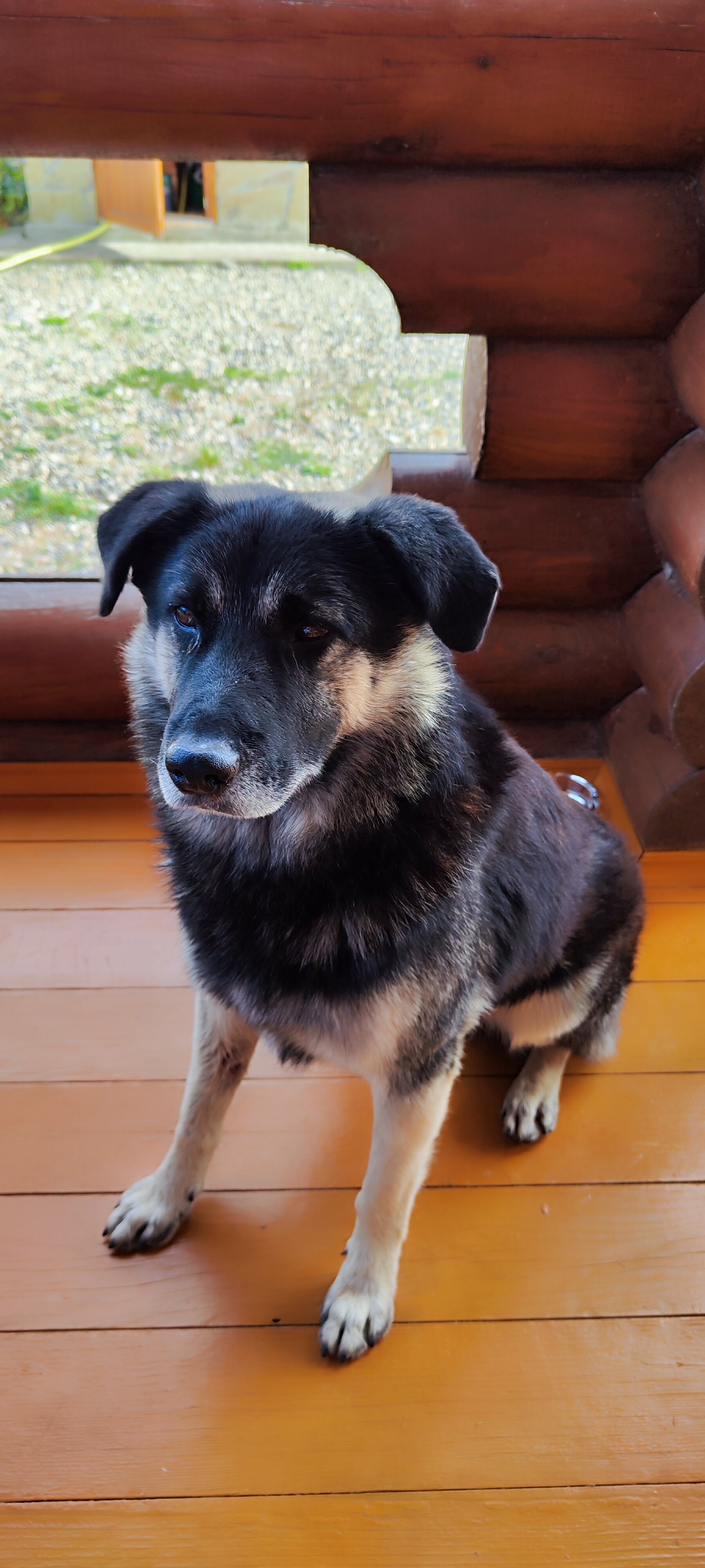 Фото Деревенька